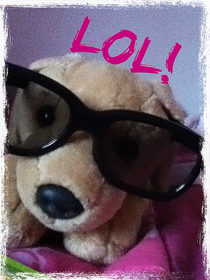 Geek Chic Puppy!